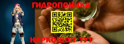 бошки Краснознаменск