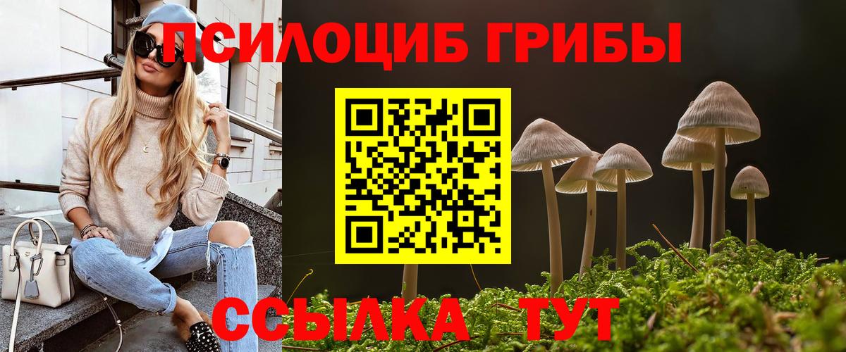 как найти   Псилоцибиновые грибы Magic Shrooms  Вход с VPN  Кудымкар 